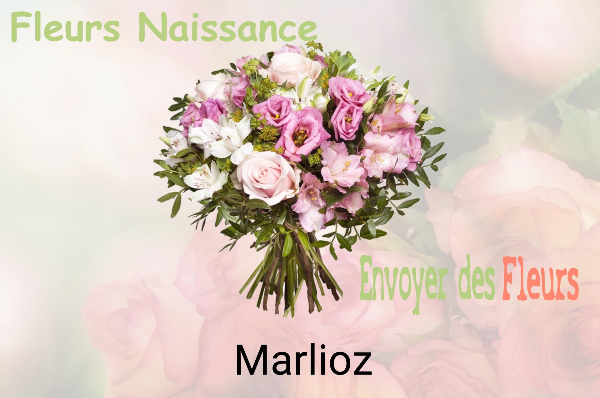 Bouquet de fleurs de naissance livré à Marlioz