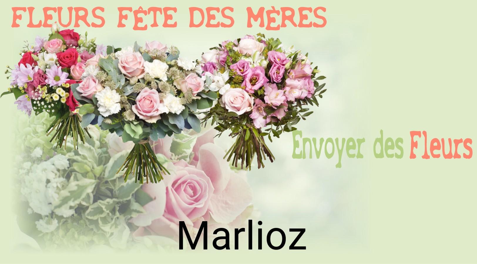 Bouquet de Fête des Mères livré à Marlioz